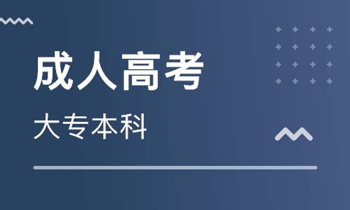 成人高考 成人高考